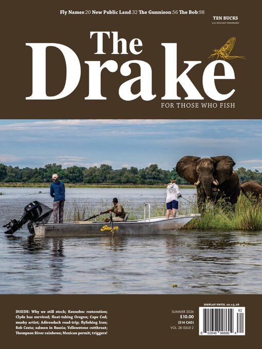 Cover image for The Drake
